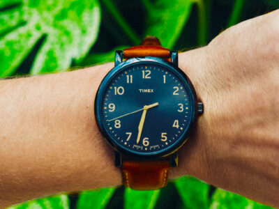 Black and brown watch on palm leaf background