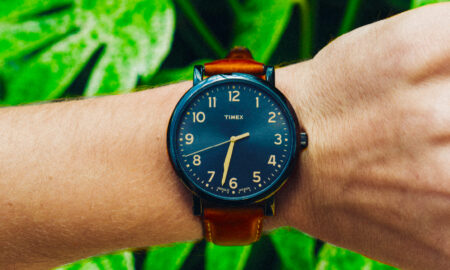 Black and brown watch on palm leaf background