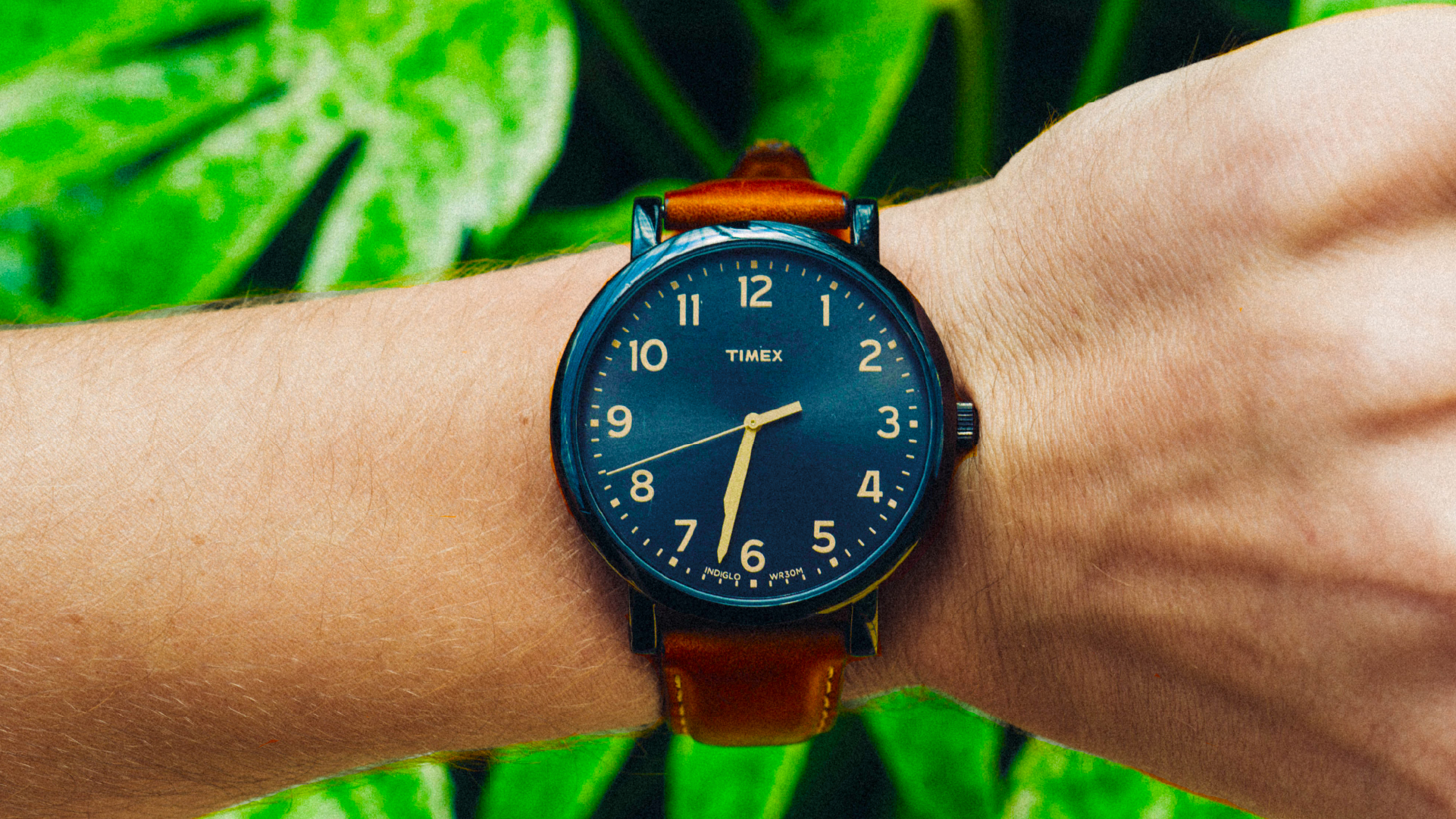 Black and brown watch on palm leaf background