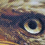 Forever RIP Software eye print