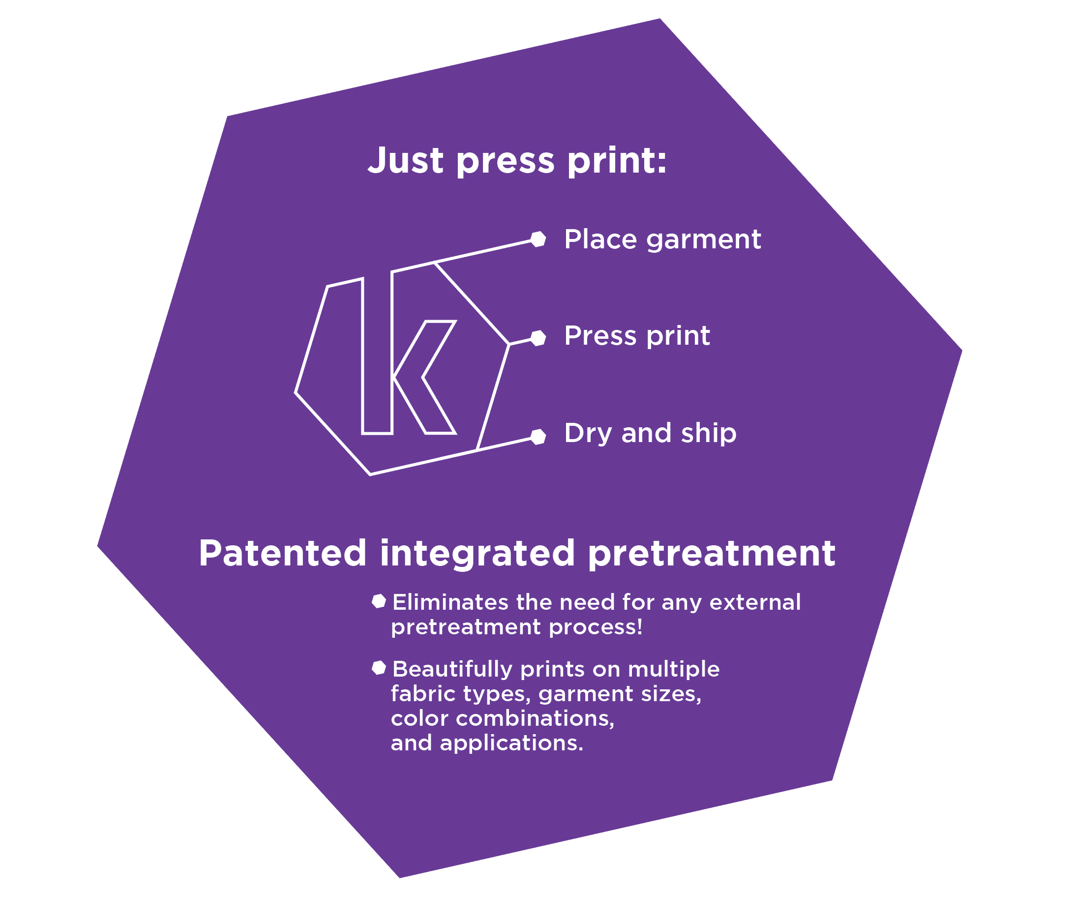 Kornit Purple Hexagon Graphic