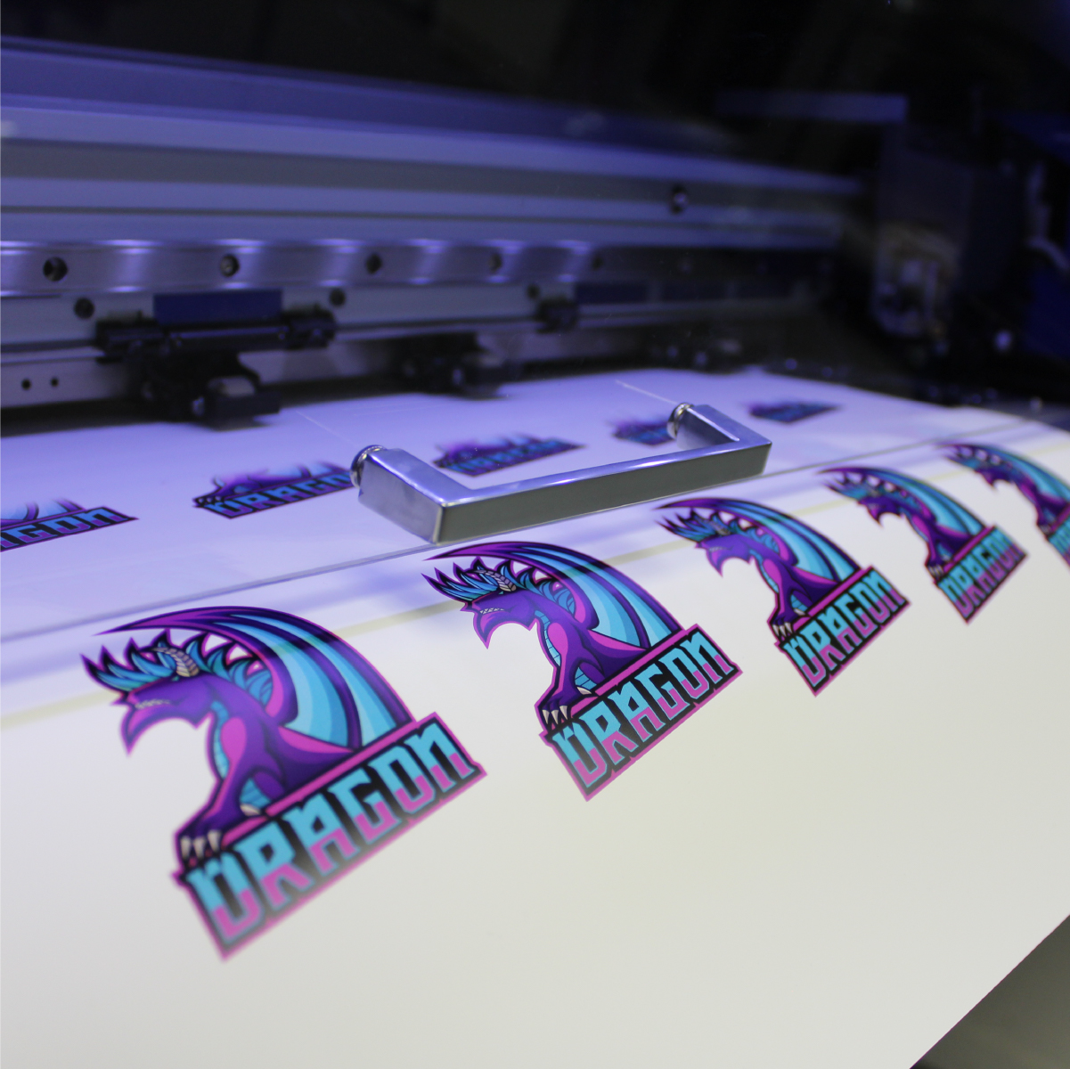 Roland SG2 VG2 Series Print and Cut machine with dragon stickers