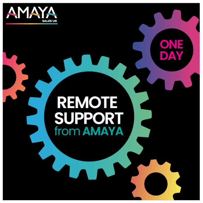 One Day Remote Support Package