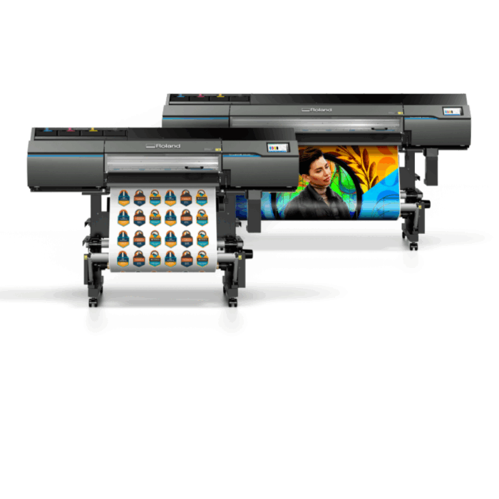 Roland DG Print & Cut Solutions The Future of Custom Printing